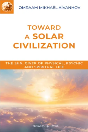 Toward a Solar Civilization